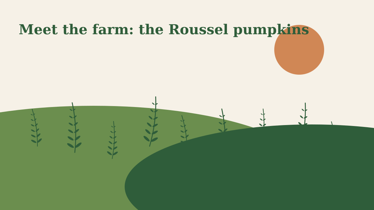 Meet the farm: the Roussel pumpkins